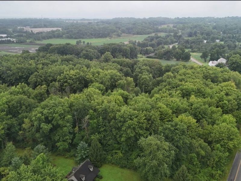 37 Buffham Road, Seville, OH 44273 Photo 6