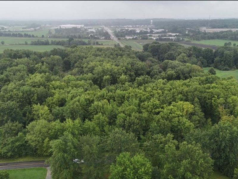 37 Buffham Road, Seville, OH 44273 Photo 9
