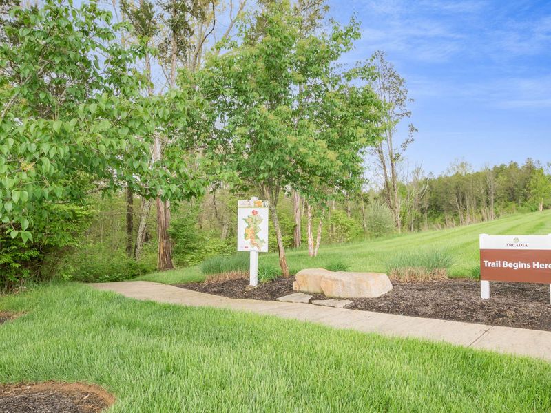 7601 Tartan Ridge Drive, Alexandria, KY 41001 Photo 33