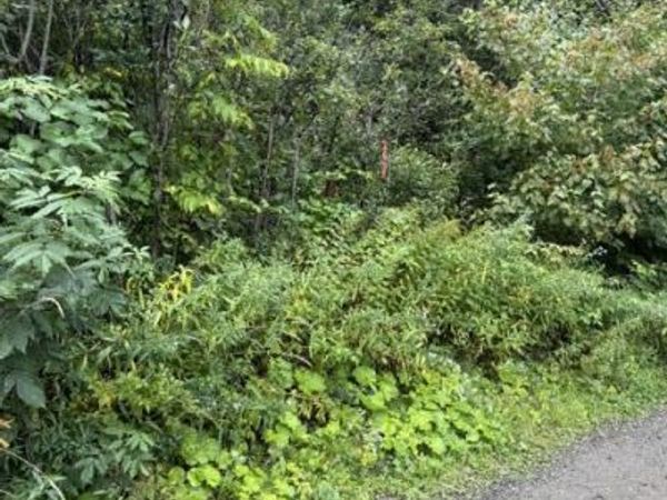 M 29 L 27 Gagnon Road, Madawaska, ME 04756