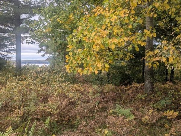 Emerald Ridge Ridge, Unit 23, Onekama, MI 49675