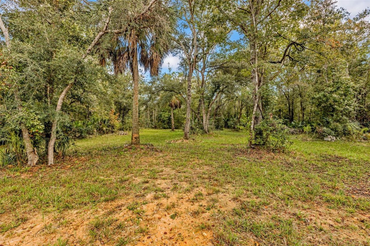 122 Tract SW Buck Trail Rd , Chiefland, FL 32626 Photo