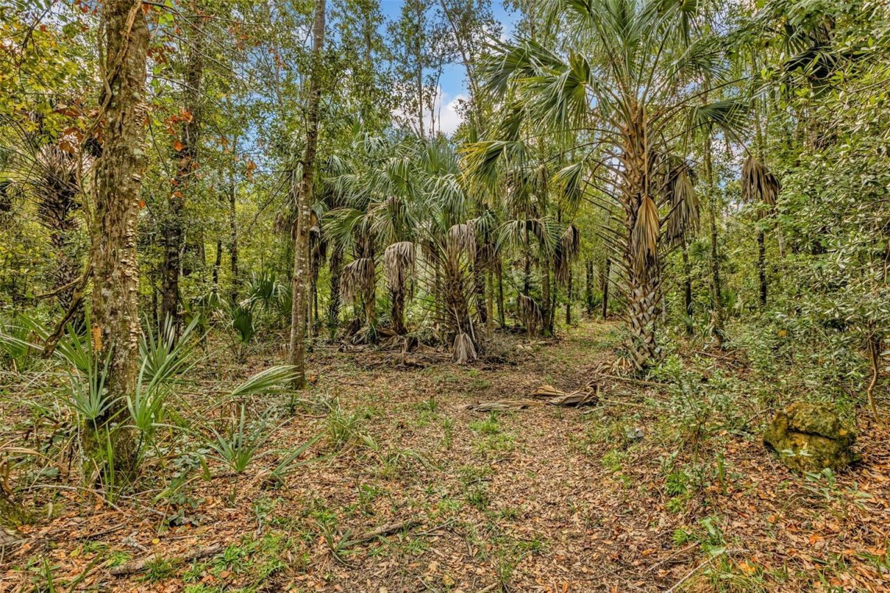 122 Tract SW Buck Trail Rd , Chiefland, FL 32626 Photo