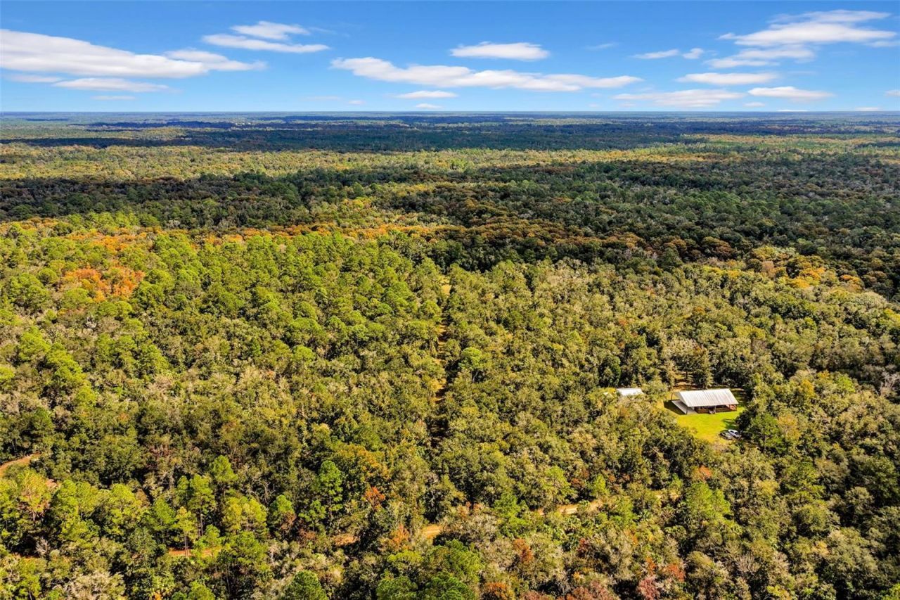 122 Tract SW Buck Trail Rd , Chiefland, FL 32626 Photo