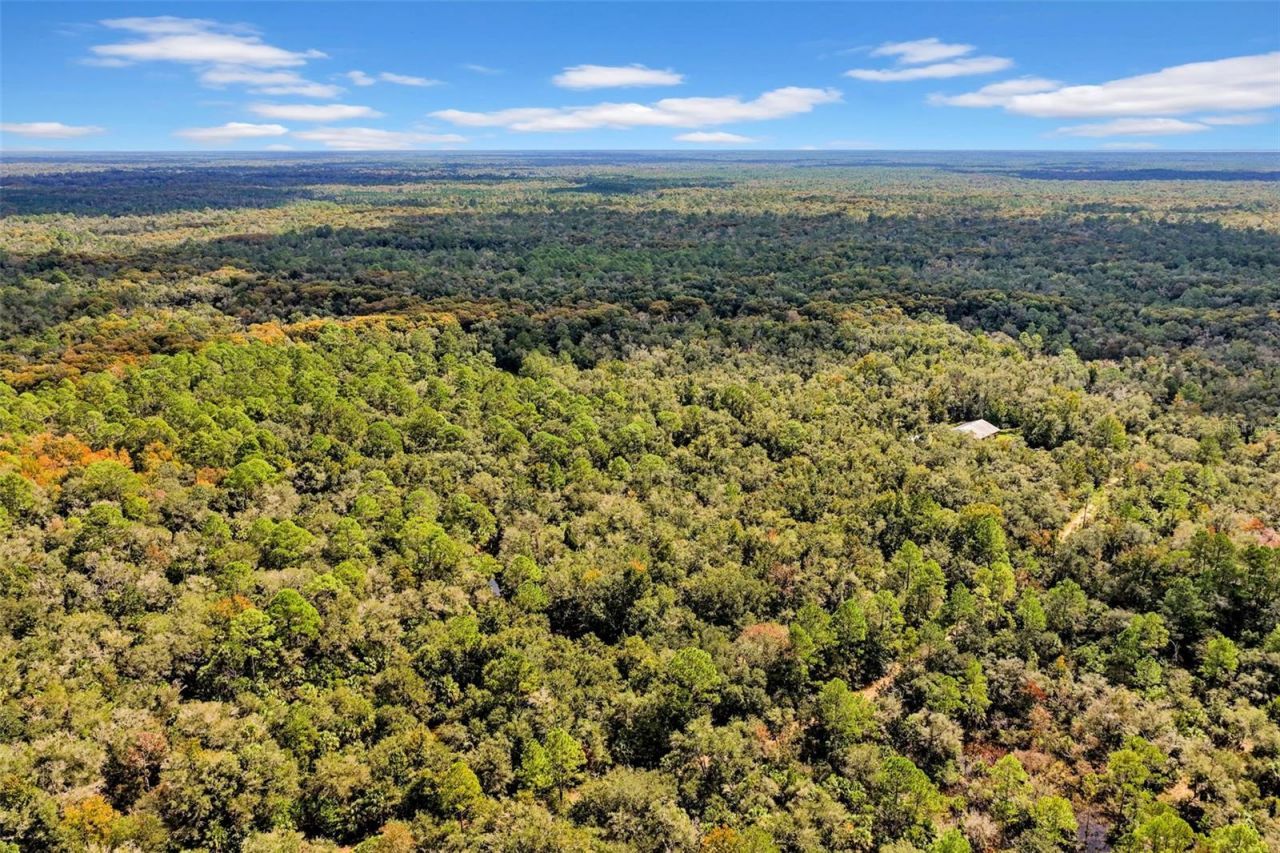 122 Tract SW Buck Trail Rd , Chiefland, FL 32626 Photo
