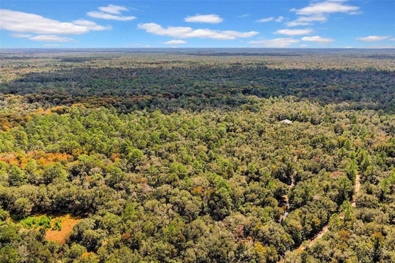 122 Tract SW Buck Trail Rd , Chiefland, FL 32626 Photo