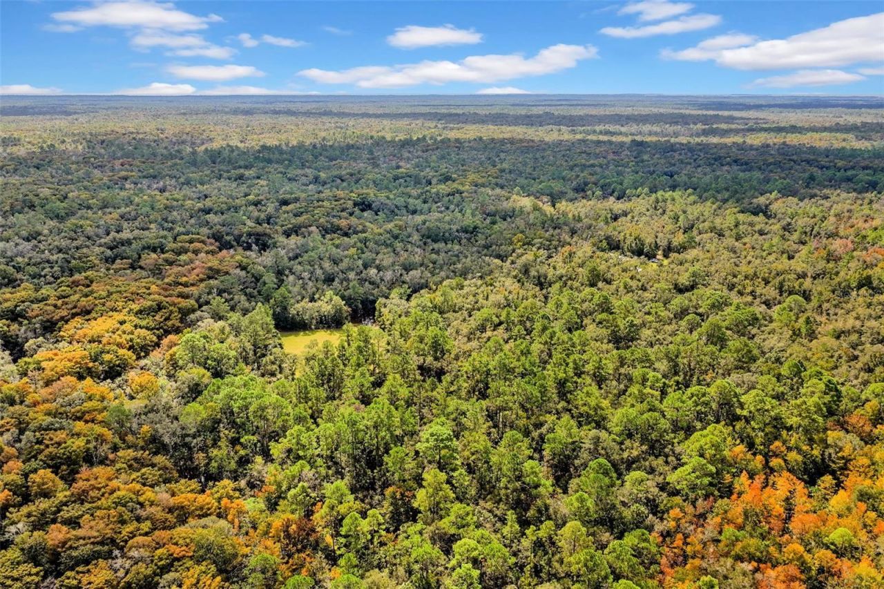 122 Tract SW Buck Trail Rd , Chiefland, FL 32626 Photo