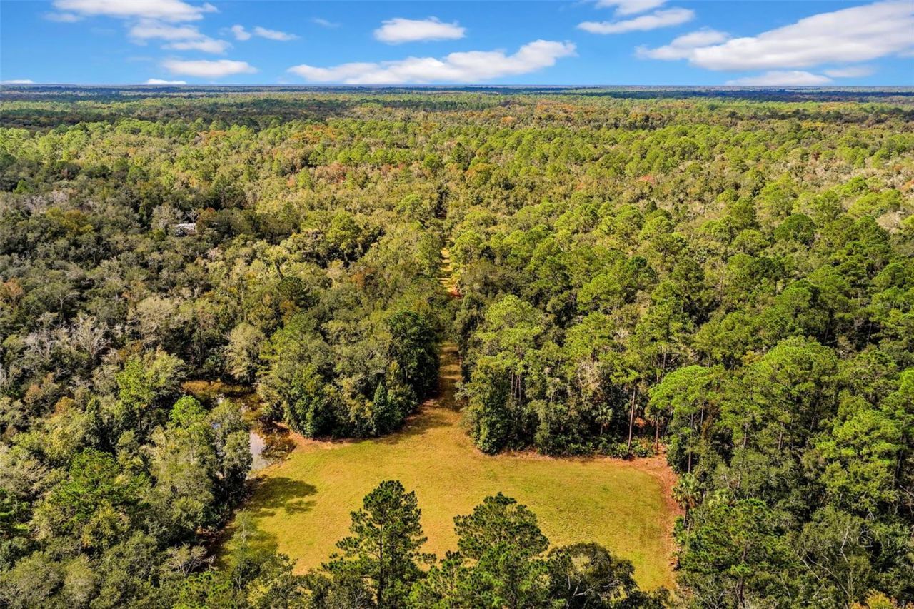 122 Tract SW Buck Trail Rd , Chiefland, FL 32626 Photo