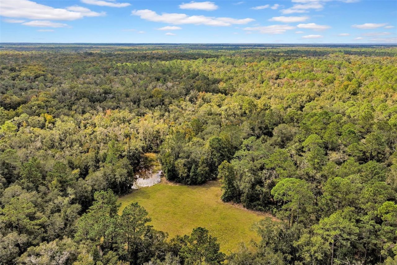 122 Tract SW Buck Trail Rd , Chiefland, FL 32626 Photo
