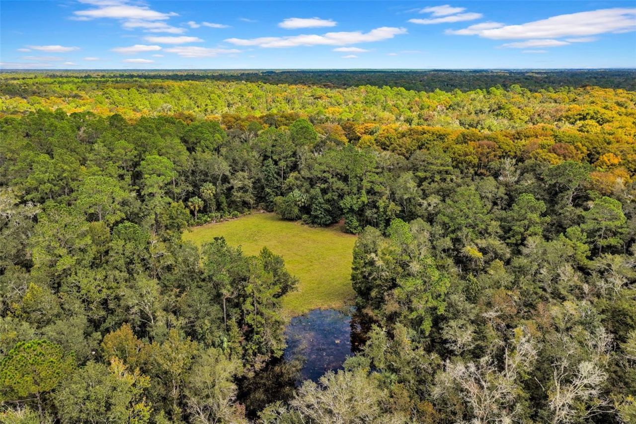 122 Tract SW Buck Trail Rd , Chiefland, FL 32626 Photo
