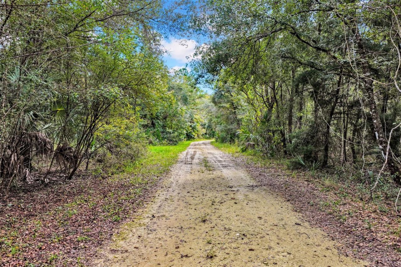 122 Tract SW Buck Trail Rd , Chiefland, FL 32626 Photo