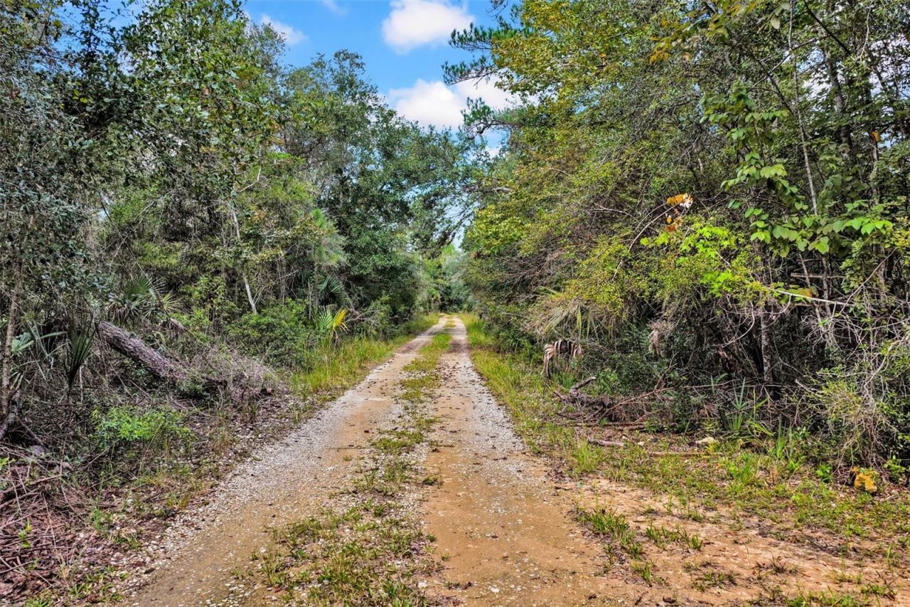 122 Tract SW Buck Trail Rd , Chiefland, FL 32626 Photo