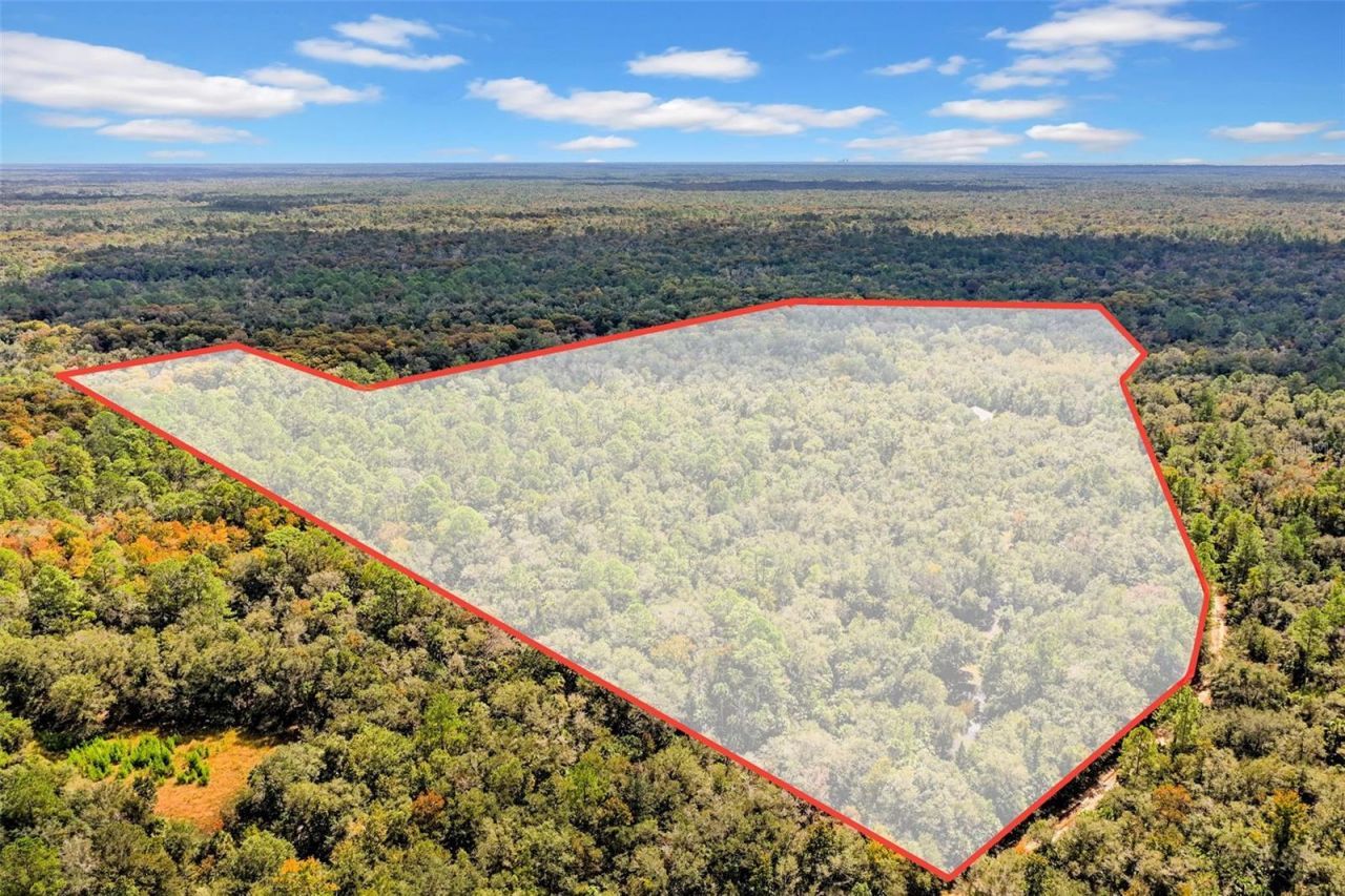 122 Tract SW Buck Trail Rd , Chiefland, FL 32626 Photo