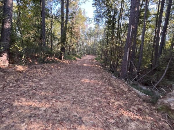 Mississippi Highway 310, Como, MS 38619