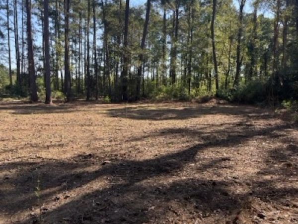 Jh Jenkins Ln, Denham Springs, LA 70706