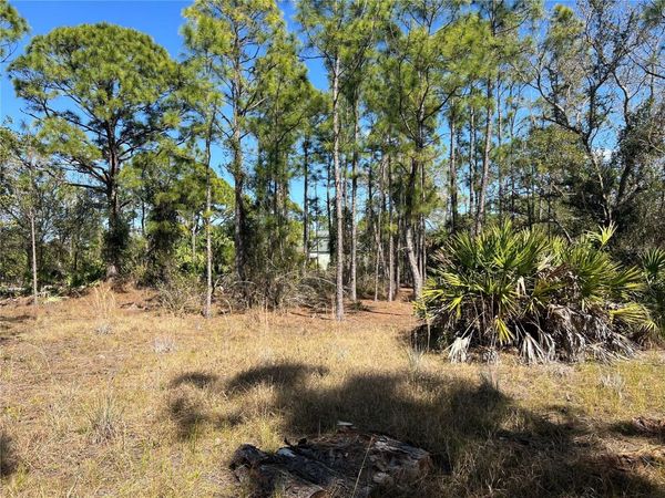 28019 TREADMILL DRIVE , PUNTA GORDA, FL 33955
