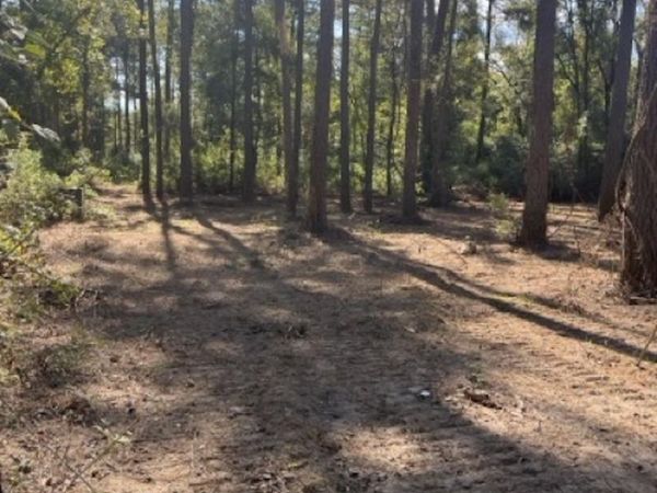 Jh Jenkins Ln, Denham Springs, LA 70706