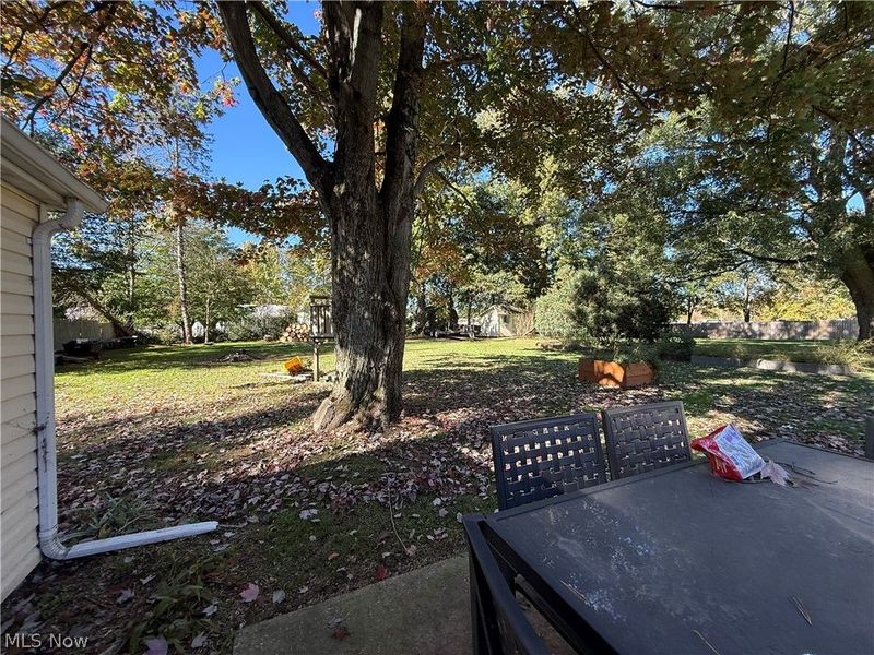 3195 Martha Drive, Geneva, OH 44041 Photo 22