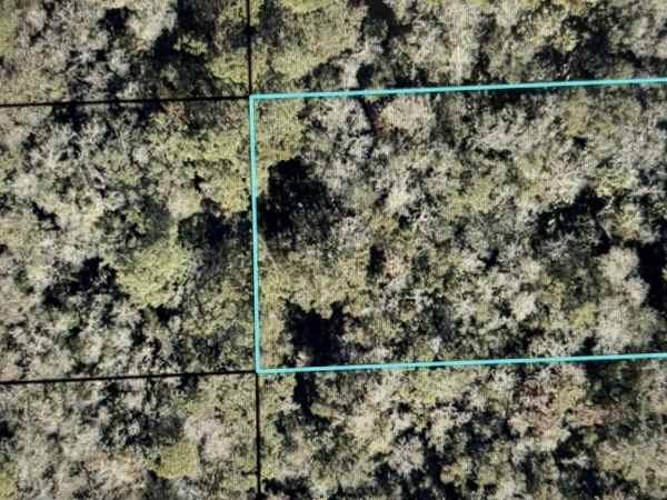 1714 Coconut Blvd, Bunnell, FL 32110