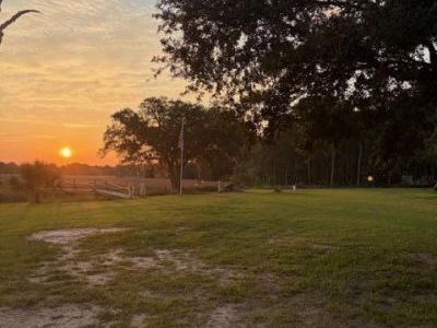 15259 Bennetts Point Road, Green Pond, SC 29446
