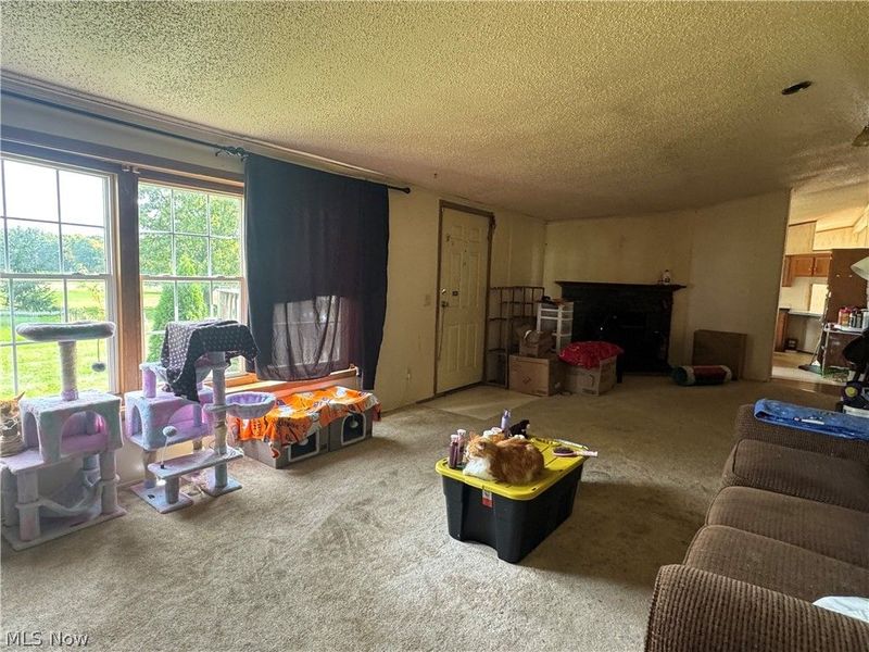 333 S Firestone Road, Wooster, OH 44691 Photo 9