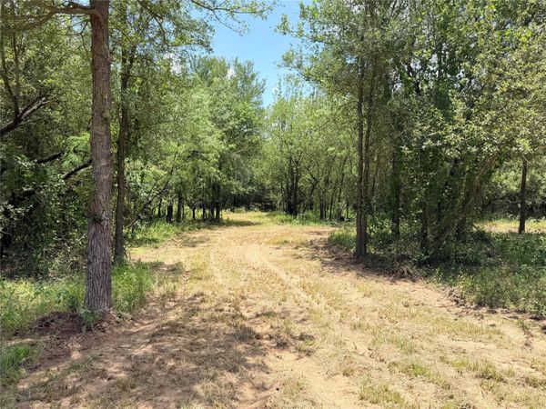 TBD Tracts - 4,5,6,7 FM 86 Highway, Luling, TX 78648