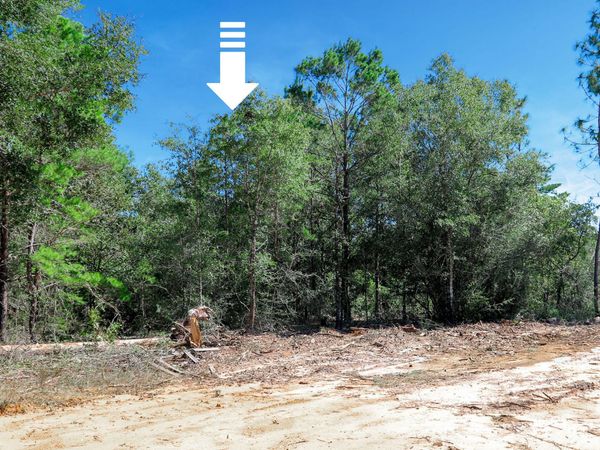 Lot 9 Leonardo Court, DeFuniak Springs, FL 32433