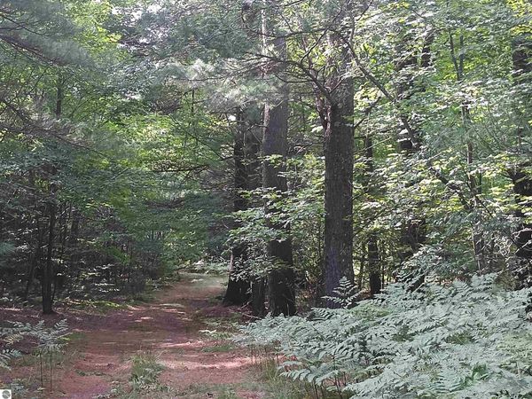 28 Wallaker Road, Benzonia, MI 49617