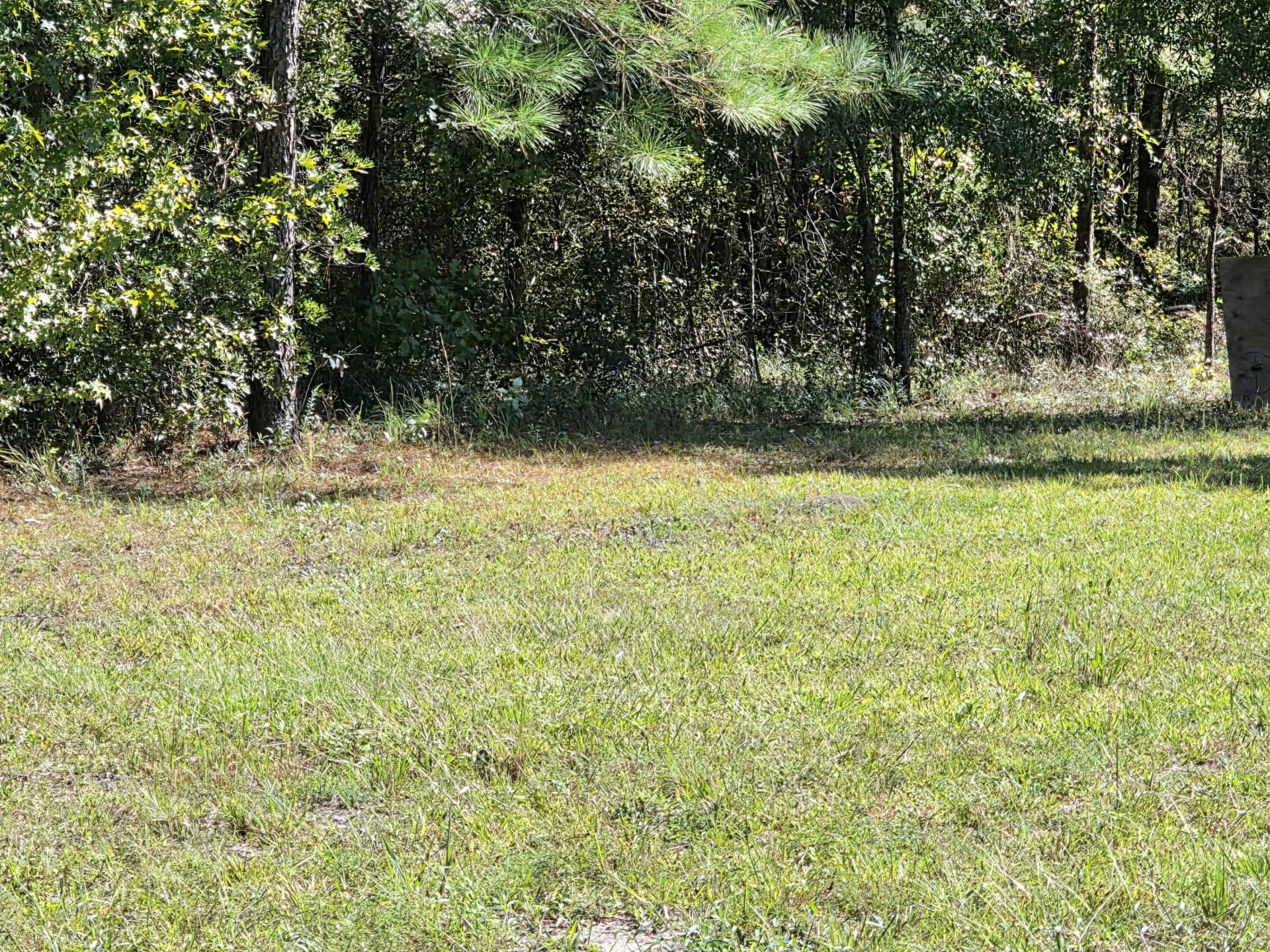 368 Whites Avenue Photo 4