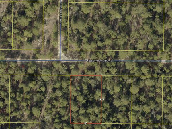 0 W Yellow Poplar Avenue , Defuniak Springs, FL 32433