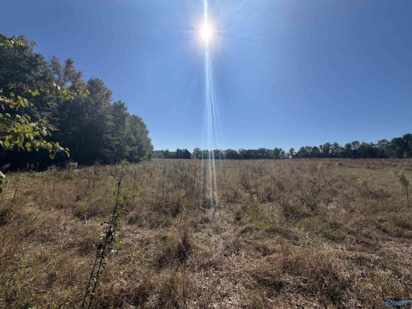 22 acres Moon Road, Horton, AL 35980