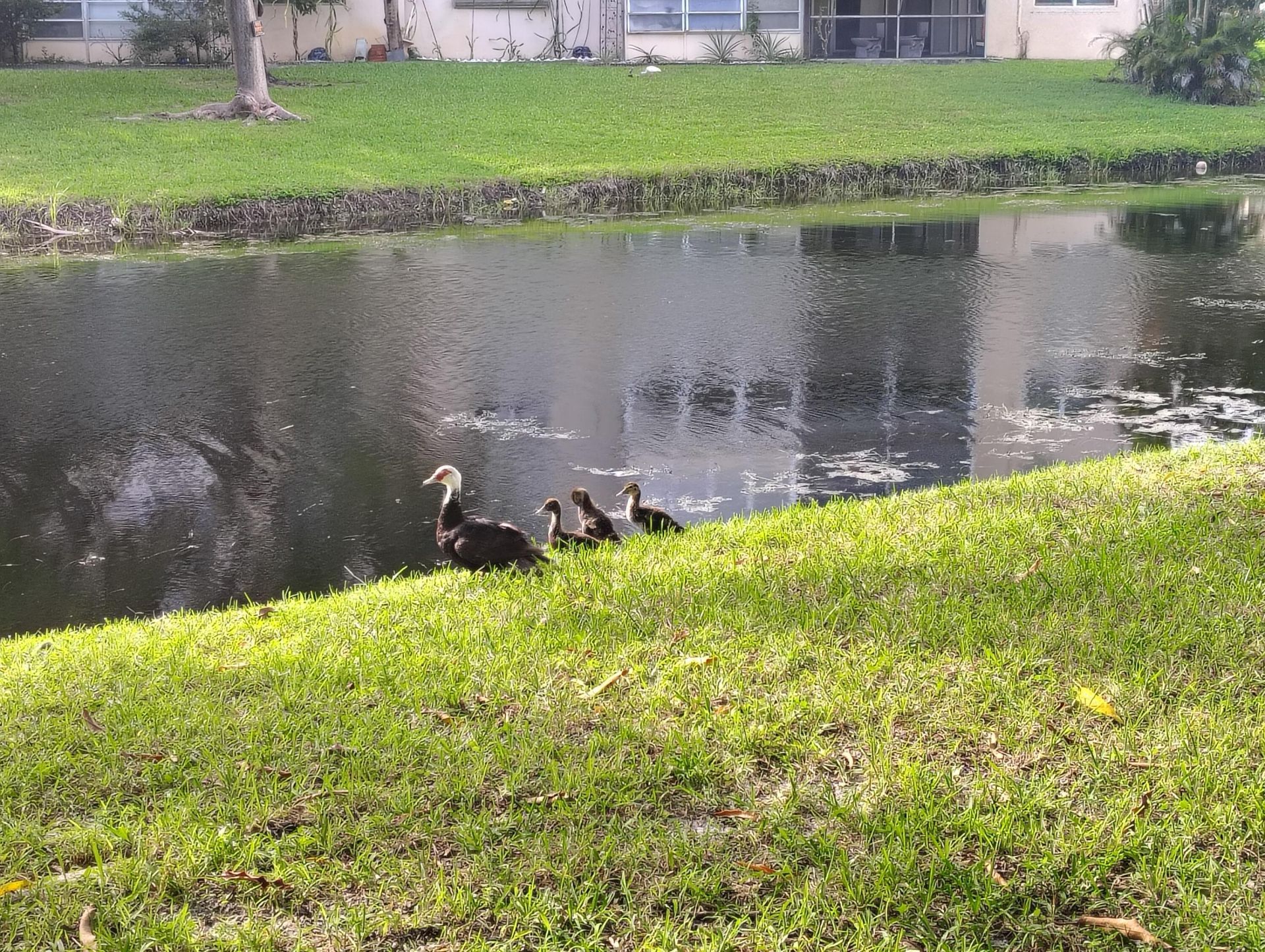 3001 NW 46th Avenue, Unit 301, Lauderdale Lakes, FL 33313 Photo
