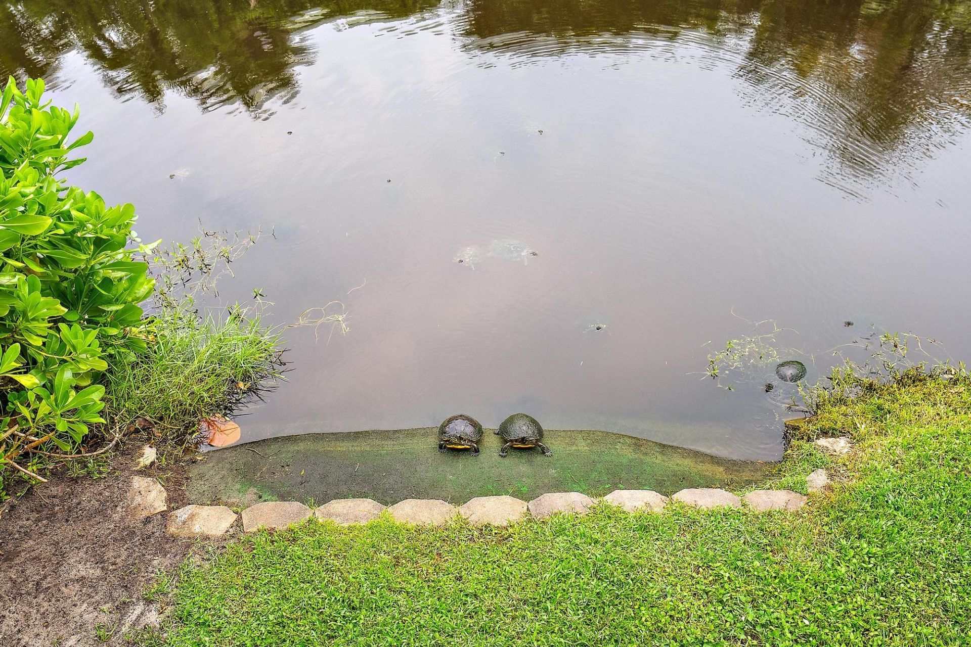 604 Xanadu Place, Jupiter, FL 33477 Photo