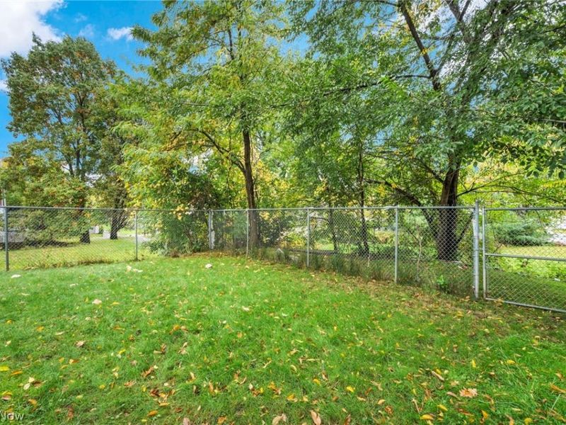 1339 Shorb Avenue NW, Canton, OH 44703 Photo 29