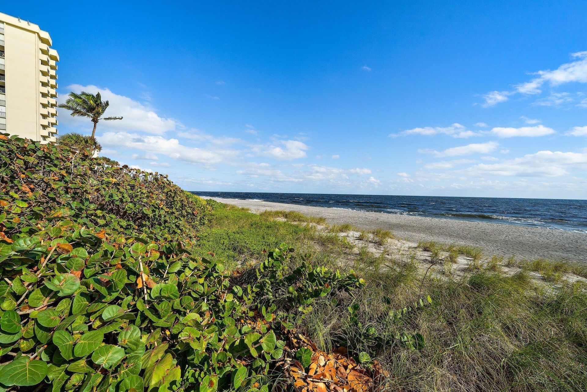 100 Ocean Trail Way, Unit 608, Jupiter, FL 33477 Photo