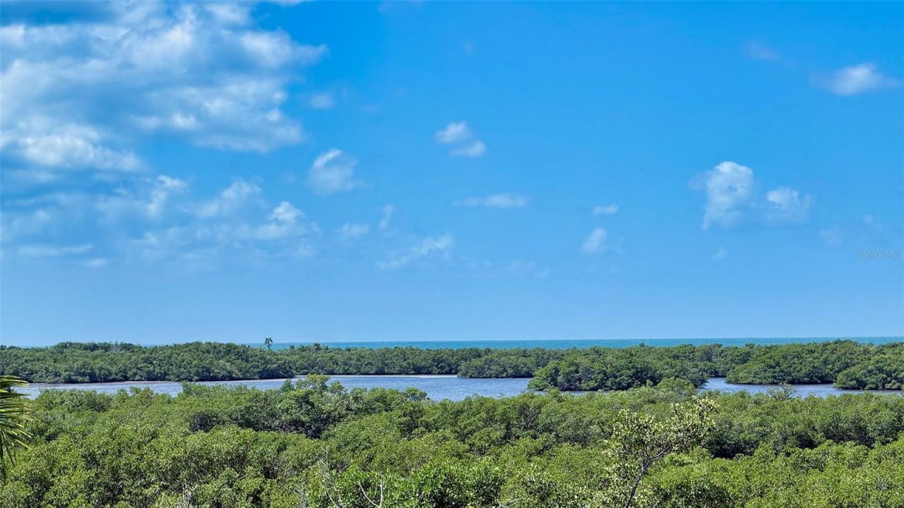 168 Coastal Hammock Court , Osprey, FL 34229 Photo