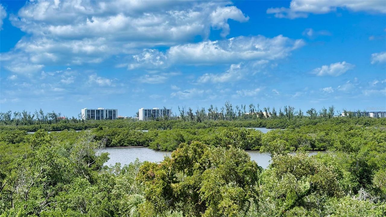 168 Coastal Hammock Court , Osprey, FL 34229 Photo