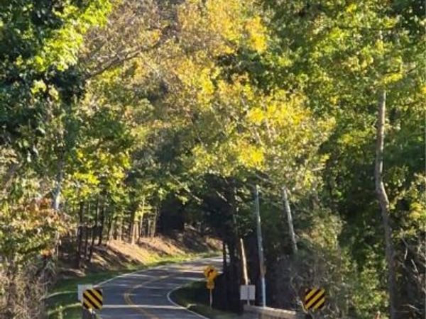 00 Beaver Dam Road , Beaverdam, VA 23015