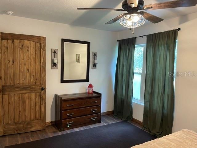 31026 Nocatee Trail, Sorrento, FL 32776 Photo