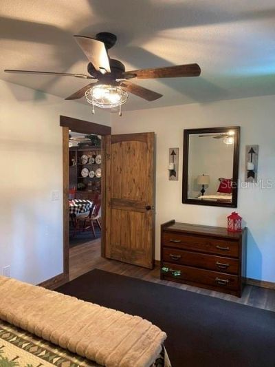 31026 Nocatee Trail, Sorrento, FL 32776 Photo