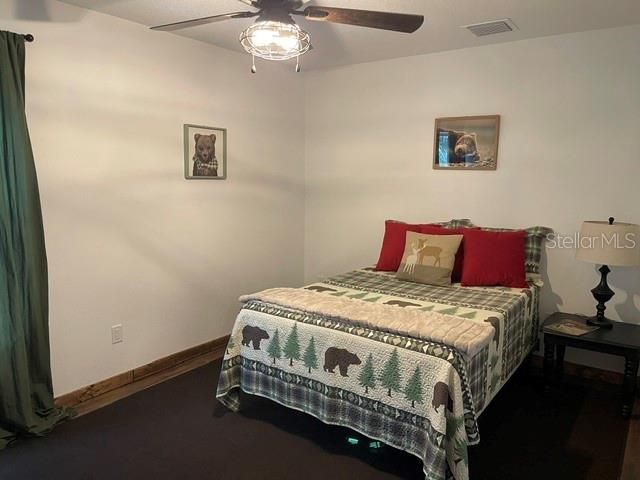 31026 Nocatee Trail, Sorrento, FL 32776 Photo