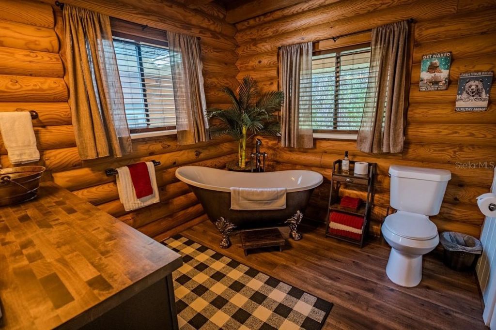 31026 Nocatee Trail, Sorrento, FL 32776 Photo