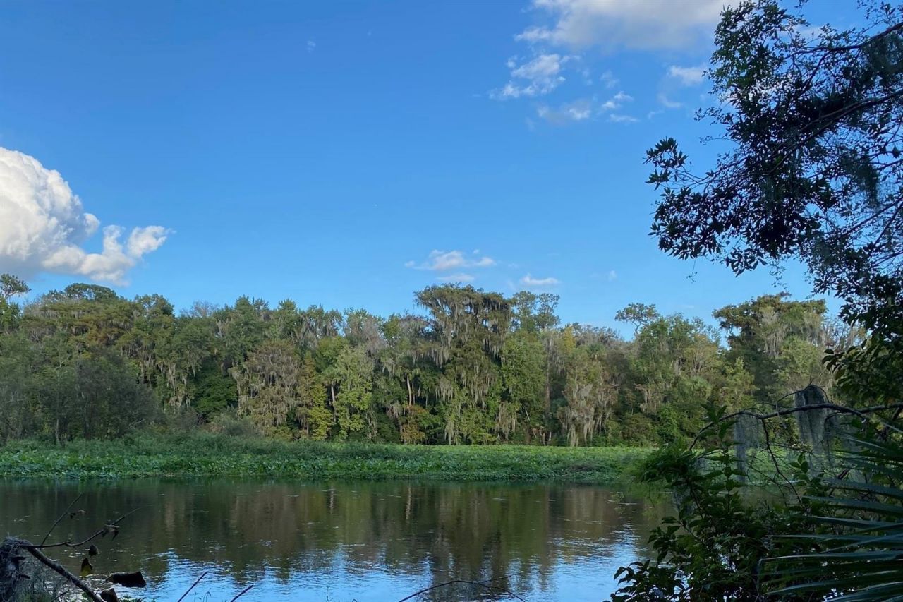 31026 Nocatee Trail, Sorrento, FL 32776 Photo
