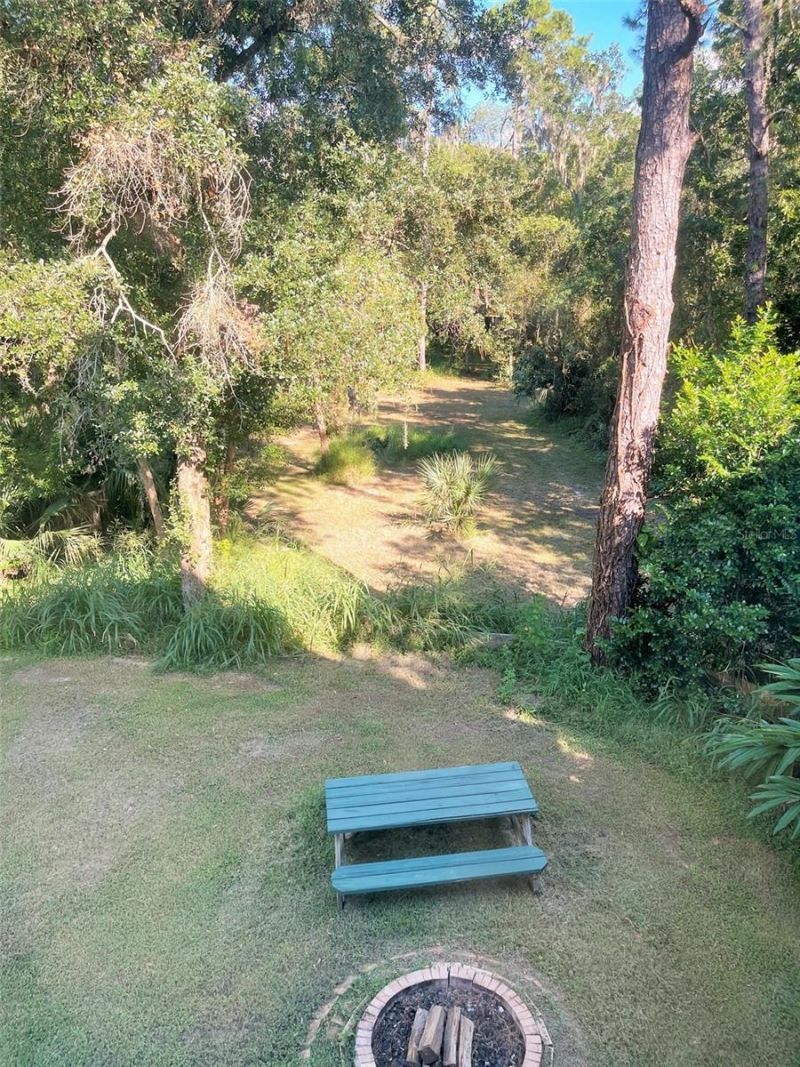 31026 Nocatee Trail, Sorrento, FL 32776 Photo