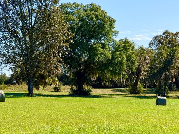 15.97 Ac. Hwy 183 A, Unit Parcel B, Ponce De Leon, FL 32455