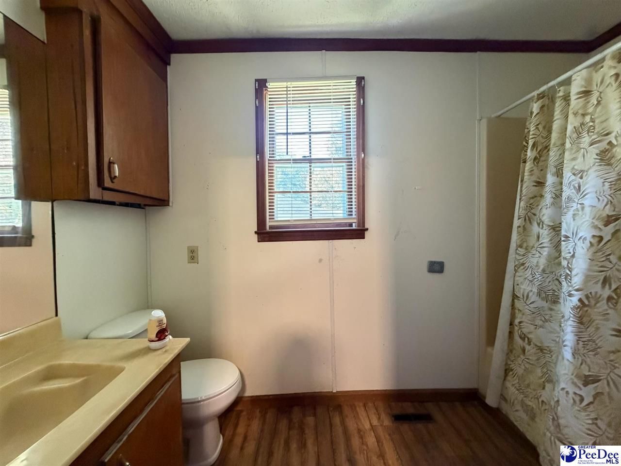 113 Mystic Pine Court Photo 8