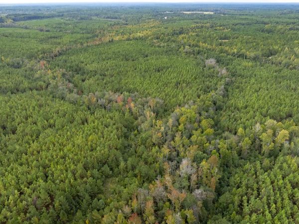 0 Fortner Pond Road, Unit TRACT 2, Kite, GA 31049
