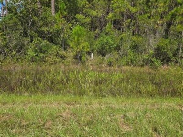 0 Swamp Road , Waycross, GA 31503