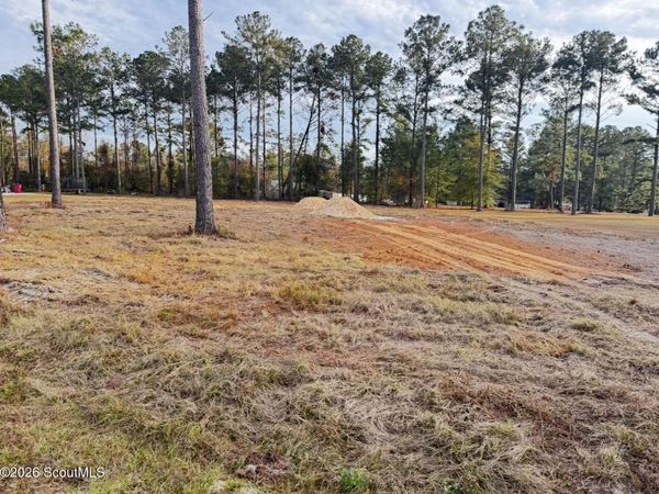 00 Mamies Drive , Blackshear, GA 31516