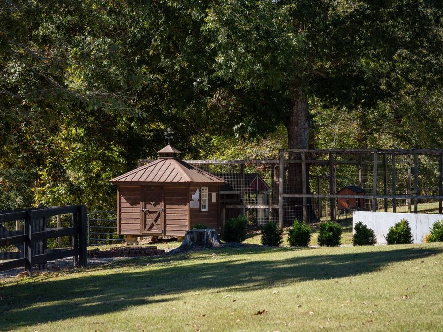 Property Image 65